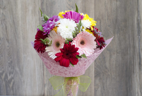 Gerberas Coloridas