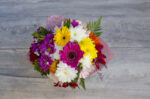 Gerberas Coloridas