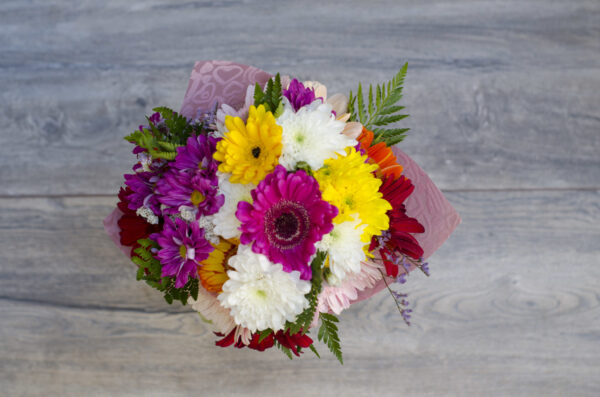 Gerberas Coloridas
