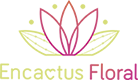 Encactus - Santiago