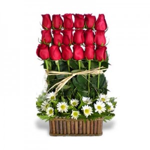 Escalera de 18 Rosas (Elige color)