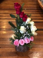 PROMO Caracola de Rosas (Elige color)