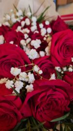 Ramo 25 Rosas Rojas Ramo 25 Rosas Rojas